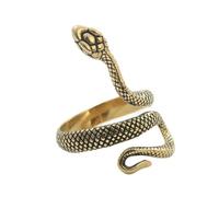 KUTCEK Anillo de serpiente de acero de titanio estilo punk vintage para hombre, accesorio de moda temático único, acero inoxidable, dije retro, 13