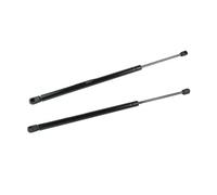 KVKQMLFEAW Amortiguador Maletero 2 Piezas para Scenic MK II MPV 2003 2004 2005 2006 2007 2008 2009 Soportes De Gas para Portón Trasero 625N Maletero Resorte Gas