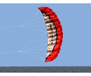 Kwasyo 2,5 m Deux Ligne Parapente Cerf-Volant Avec Manette 30m, Cerf-Volant pour Le Sport en Plage, Jeux de Plein Air Dans Le Jardin