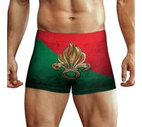 KWQDOZF Calzoncillos Tipo bóxer Transpirables para Hombre con Bandera de Legion Etrangere, Tejido de Seda Suave, Ropa Interior Deportiva de Verano