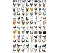 KWQDOZF Póster de razas de pollos, letrero de metal, placa de pared, decoración divertida para el hogar, jardín, patio, regalo floral para mujeres y hombres, 8 x 12 pulgadas