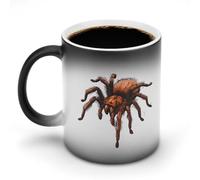 KWQDOZF Taza de café divertida con diseño de araña devoradora de pájaros, taza de té que cambia de color para hombres y mujeres, cumpleaños