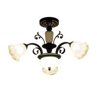 KXEcoLife Lámpara Colgante de 3-6-8-10 Cabezas hacia Abajo, Estilo Americano, para jardín, Sencilla, Creativa, para Sala de Estar, Dormitorio, Comedor, Estilo Europeo, mediterráneo, de hierr