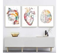KXHHYB Juego de 3 pósteres anatómicos para pared Corazón Cerebro Anatomía Humana Arte para pared de hospital y clínica Arte médico para pared sin marco (D, 50x70cm*3)