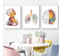 KXHHYB Juego de 3 pósters anatómicos de pared con corazón, cerebro, anatomía humana, hospital, clínica, arte de pared, médico, sin marco (C, 40x60cm*3)