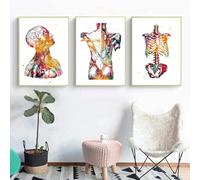 KXHHYB Póster de anatomía juego de 3, corazón cerebro humano anatomía póster hospital clínica arte de pared póster medicina pared cuadros sin marco (B, 40 x 60 cm**3)