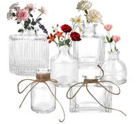 KXVXXV Juego de 6 Pequeños Vasos de Vidrio para Decoración de Mesa y Boda Pequeños Jarrones de Vidrio Vasos de Vidrio para Decoración de Mesa Varias Formas Juego de Mini Vasos Vintage para Decoración