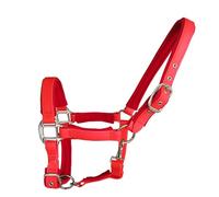 KXWDKJ Cabestro de cuerda para caballos, correa de PVC de 25 mm, impermeable, a prueba de humedad, antiarañazos, para entrenamiento de caballos (rojo, S)