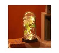 Kylin Glory Preserved Rose Flowers Gift for Mom Wife Girlfriend Women Elegant Present for Valentine's Day Mother's Day Anniversary Birthday (White)_Sp