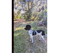 Kylo the Parti Poodle: Notebook for writing, taking notes, journaling, etc. 6x9, 120 lined pages