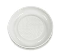 Kyocera Grater for Fruit and Vegetables Rallador de cerámica para Frutas y Verduras, Blanco