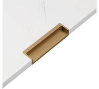 KYUEPONG Tiradores ocultos, 1 zapatero con tirador oscuro y hebilla integrada, tirador invisible for cajón.(Champagne gold 120)