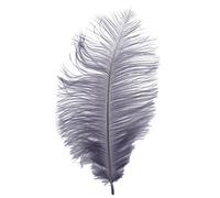 Kznifmk 10 x Estilo 10-12 Pulgadas Plumas de Avestruz Decoraciones Gray