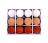 Kznifmk 12 Piezas de Bolas Colgantes de Navidad para Fiestas Navideñas, Bolas de Navidad, Bolas Redondas de Peluche para Hacer Tú Mismo, Caja de Regalo, Adornos para Árbol de Navidad F