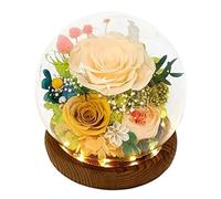 Kznifmk Flores Reales de Larga DuracióN, Regalo Floral para Enviar Amor en Todas Las Ocasiones, para DecoracióN de Interiores