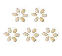 Kznifmk Juego de 30 Piezas de PercusióN de Madera Musical Egg Maracas Egg Shakers Instrumento Musical Toy para NiñOs