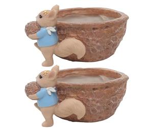 Kznifmk Tuerca de Ardilla, Maceta de Resina para Jardín, Jardinería de Escritorio, Maceta Suculenta, Decoración de Plantas, Nueces