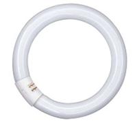 Osram aa408170155 escritura redonda Tubo fluorescente L32 / 865-32 W