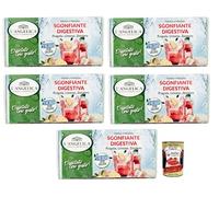 L' Angelica Tisana Sgonfiante Digestiva - Té de hierbas frío con sabor a fresas combinadas con las notas cítricas de limón 18 filtros + lata italiana gourmet Polpa di Pomodoro de 400 g