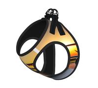 L - Chaleco y arnés para perro - Juego de correa de avión de tamaño pequeño con diseño de avión al atardecer con hebilla, compañero canino para viajes al aire libre