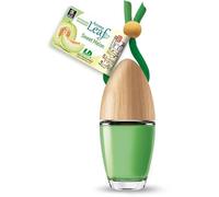 L&D Little Bottle Aroma Leaf - Frasco aromático (melón)