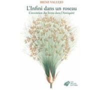 l infini dans un roseau: l invention des livres dans l antiquité