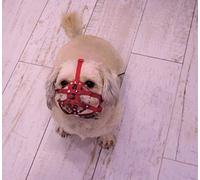 L&J Pets Uk Bozal de perro con correa de nailon para Shih Tzu, Pug y otros perros de hocico corto con cara plana, seguridad y comodidad (M1, rojo)