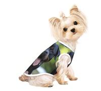 L Pet - Camiseta sin mangas transpirable para gatos y perros - Camiseta sin mangas ligera con estampado de papel pintado rottweiler con elástico
