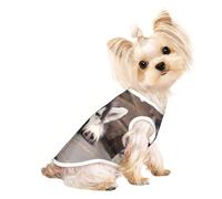 L Pet - Camiseta sin mangas transpirable para gatos y perros, camiseta sin mangas ligera con estampado de perro husky con elástico