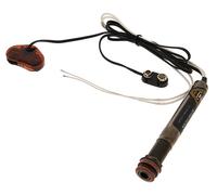 L.R.Baggs EAS SS Set