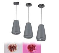 L-xiny LED Lámparas de Techo Colgantes de Comida Fresco, Lámparas de Carne y Mariscos, Luz de Verduras, Lámparas de Fruta y Pan Comercial, Hace Que la Comida Se Vea Más Fresca, 35W 3 Pcs