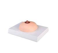 L281 erler-Zimmer cáncer de mama-examen modelo