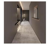 L6NqIAG Alfombra de Pasillo Alfombra de diseño Moderno, Camino Largo, Entrada Hotel, Pasillo, Dormitorio, alfombras Junto a la Cama for Sala Estar(Color 4,80X800CM)