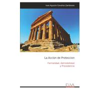 La Accion de Proteccion: Formalidad, Admisibilidad y Procedencia
