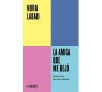 La Amiga Que Me Dejó (serie Endebate)