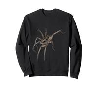 La araña Lobo Sudadera