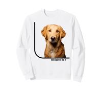 La Ardilla lo Hizo Divertido Golden Retriever Sudadera