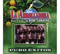 La Arrolladora Banda El Limon - Puro Exitos