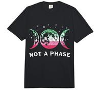La Bandera abrosexual no es una Fase Comfort Colors Adult Heavyweight T-Shirt