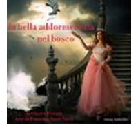 La Bella Addormentata Nel Bosco (audiolibro)