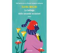 La bottega delle seconde occasioni (Novel)