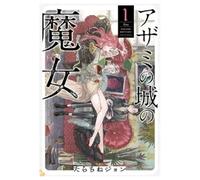 LA BRUIXA DEL CASTELL DELS CARDS