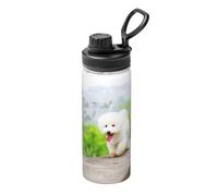 La Caldera aislada, 18oz aisló la Taza aislada de Las Botellas de Agua del Acero Inoxidable de la Caldera,Parque Bichón Frisé Mascotas Perros Perros Bichón Frisé