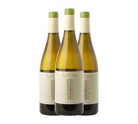 La Caña Albariño Rías Baixas Crianza 75 cl Vino blanco (Caja de 3 Botellas de 75 cl)