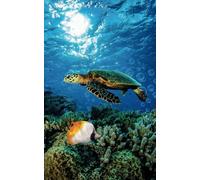 La carezza del mare: Diario, quaderno, 150 pagine