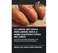 La catena del valore della patata dolce a polpa arancione (clone IAC-1063): Dal punto di vista della sostenibilità: il caso dell'agroecosistema Guilaze-Mozambico