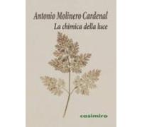 La Chimica Della Luce (italiano)
