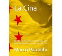 La Cina: Come si muove un colosso dai piedi d'argilla - secondo tomo (Geopolitica di un mondo in cambiamento)