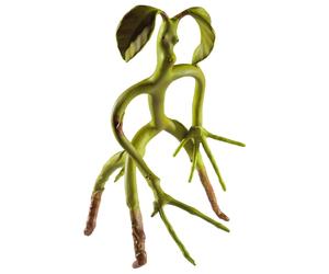 La colección noble Bowtruckle flexible (Importación USA)