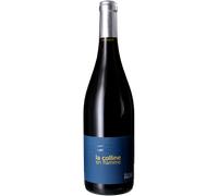 La Colline en Flamme 2025 - Vignoble des Pothiers